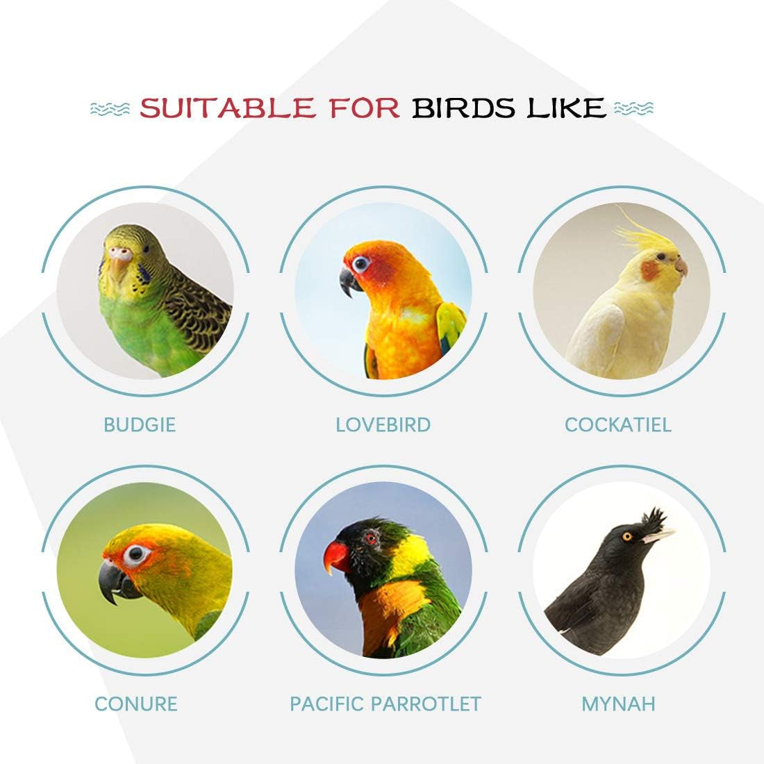 Brighten your bird's day with our  3 Pack Toy Set! 🐦🎉 Perfect for parrots, parakeets, and lovebirds! 🐥💖 #BirdToys #HappyBirds