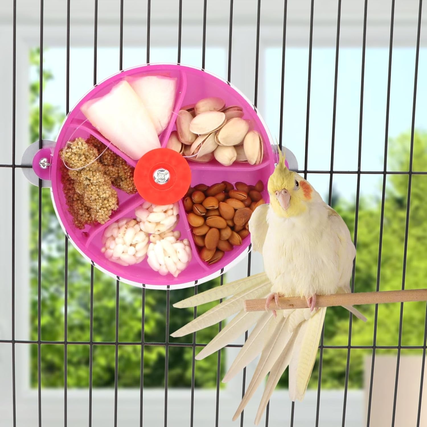 Elevate Playtime with the Purple Bird Foraging Wheel Toy for Happy Parrots and Parakeets! 🐦💜