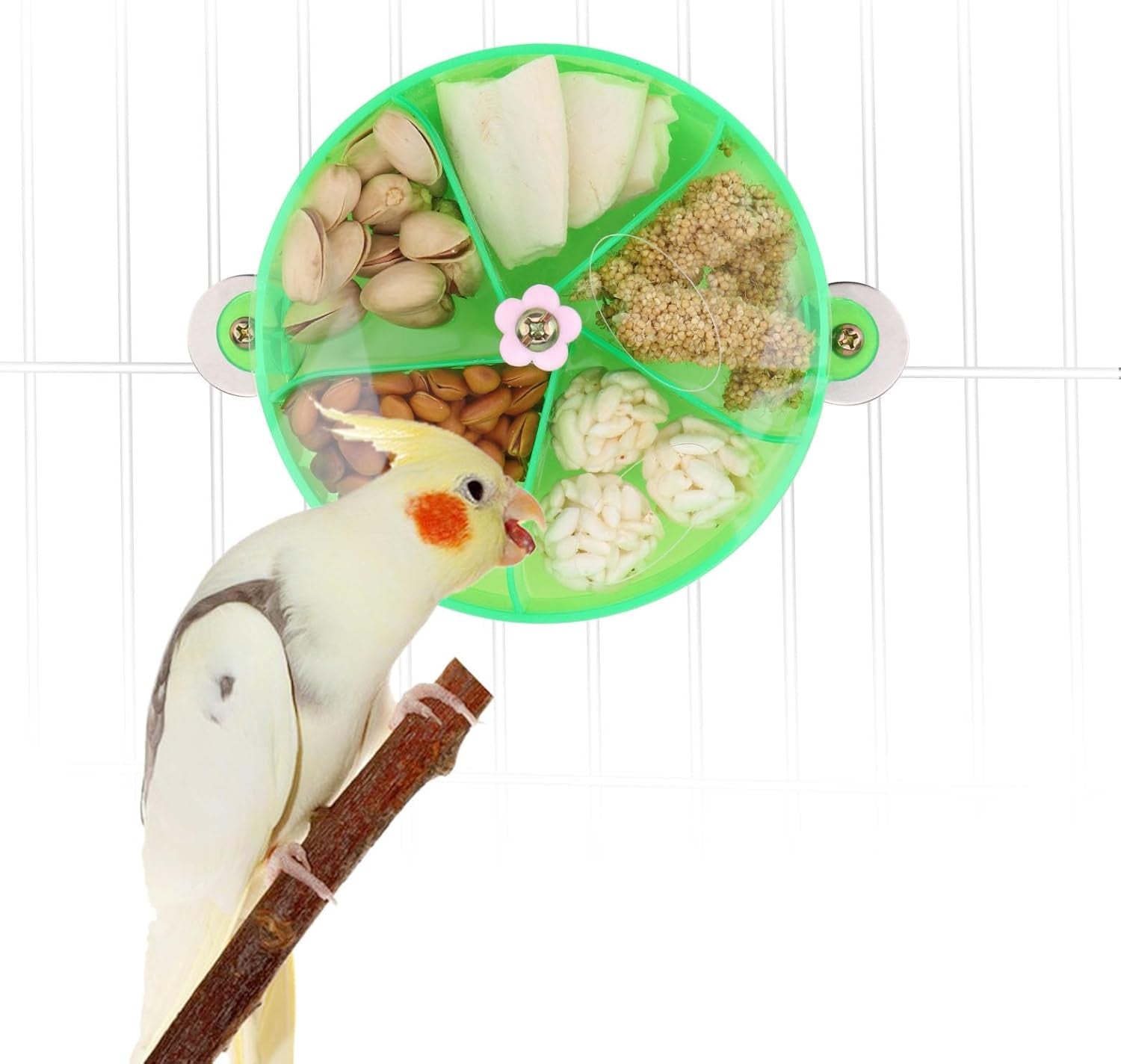 Elevate Playtime with the Purple Bird Foraging Wheel Toy for Happy Parrots and Parakeets! 🐦💜
