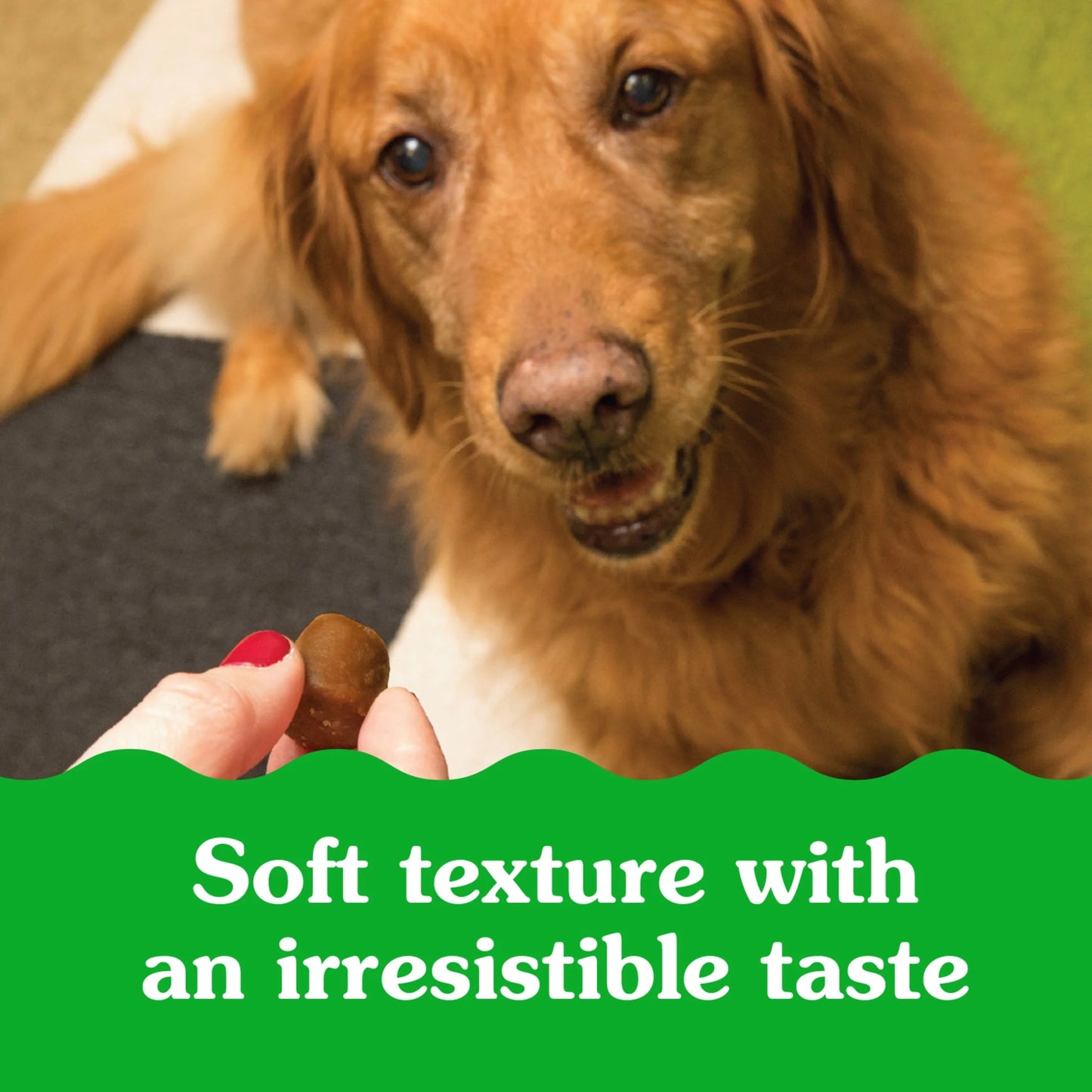 Pill Pockets for Dogs Hickory Smoke Large, Capsule Size Soft Dog Treats, 7.9 Oz (30 Pk)