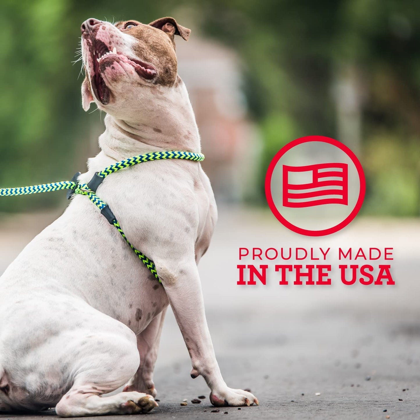 Say Goodbye to Tug-of-War!🐾✨ Discover the Ultimate No Pull Dog Harness & Leash Set for Happy Walks - Comfy, Secure, and Reflective Red for Small/Medium Pups!