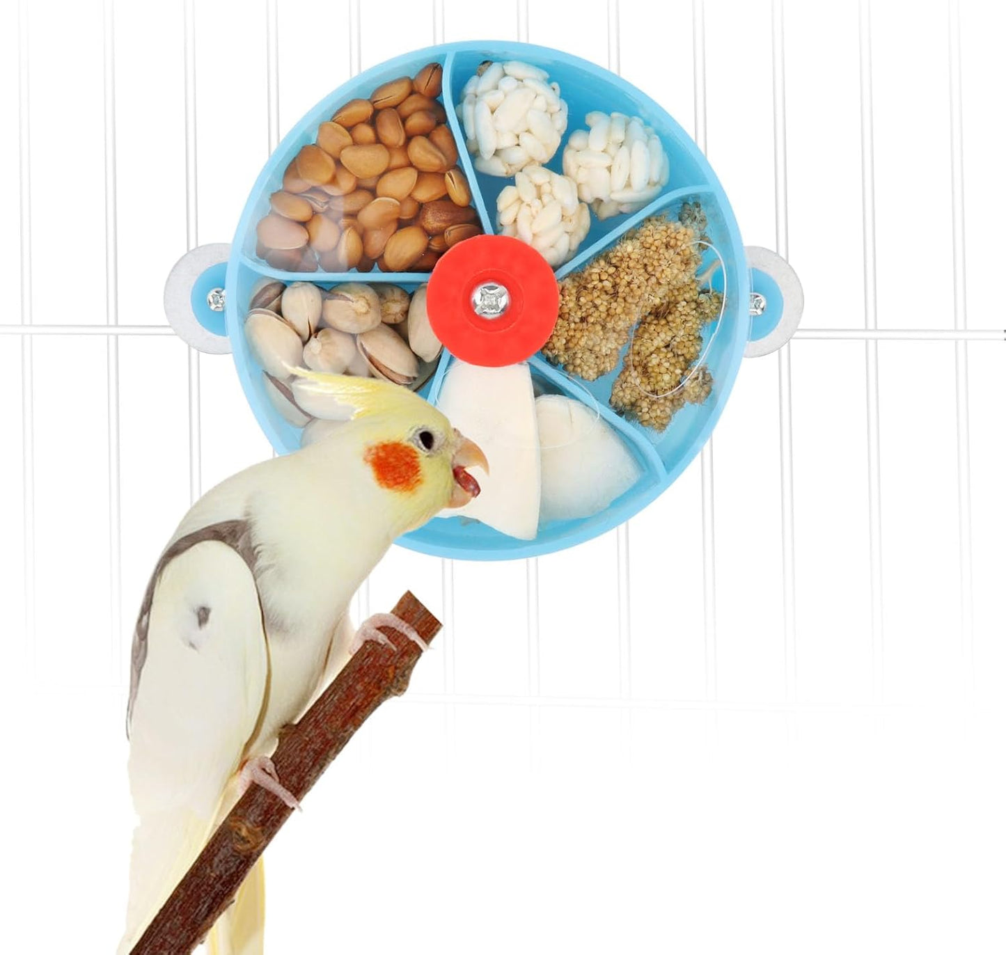 Elevate Playtime with the Purple Bird Foraging Wheel Toy for Happy Parrots and Parakeets! 🐦💜