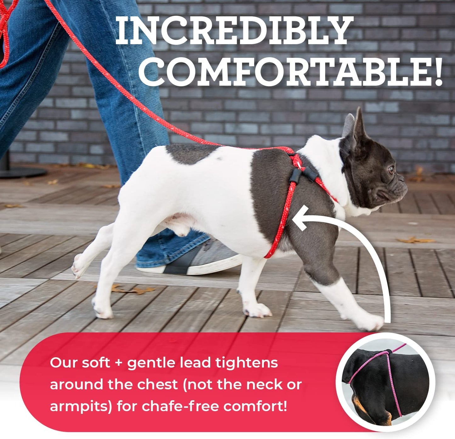 Say Goodbye to Tug-of-War!🐾✨ Discover the Ultimate No Pull Dog Harness & Leash Set for Happy Walks - Comfy, Secure, and Reflective Red for Small/Medium Pups!