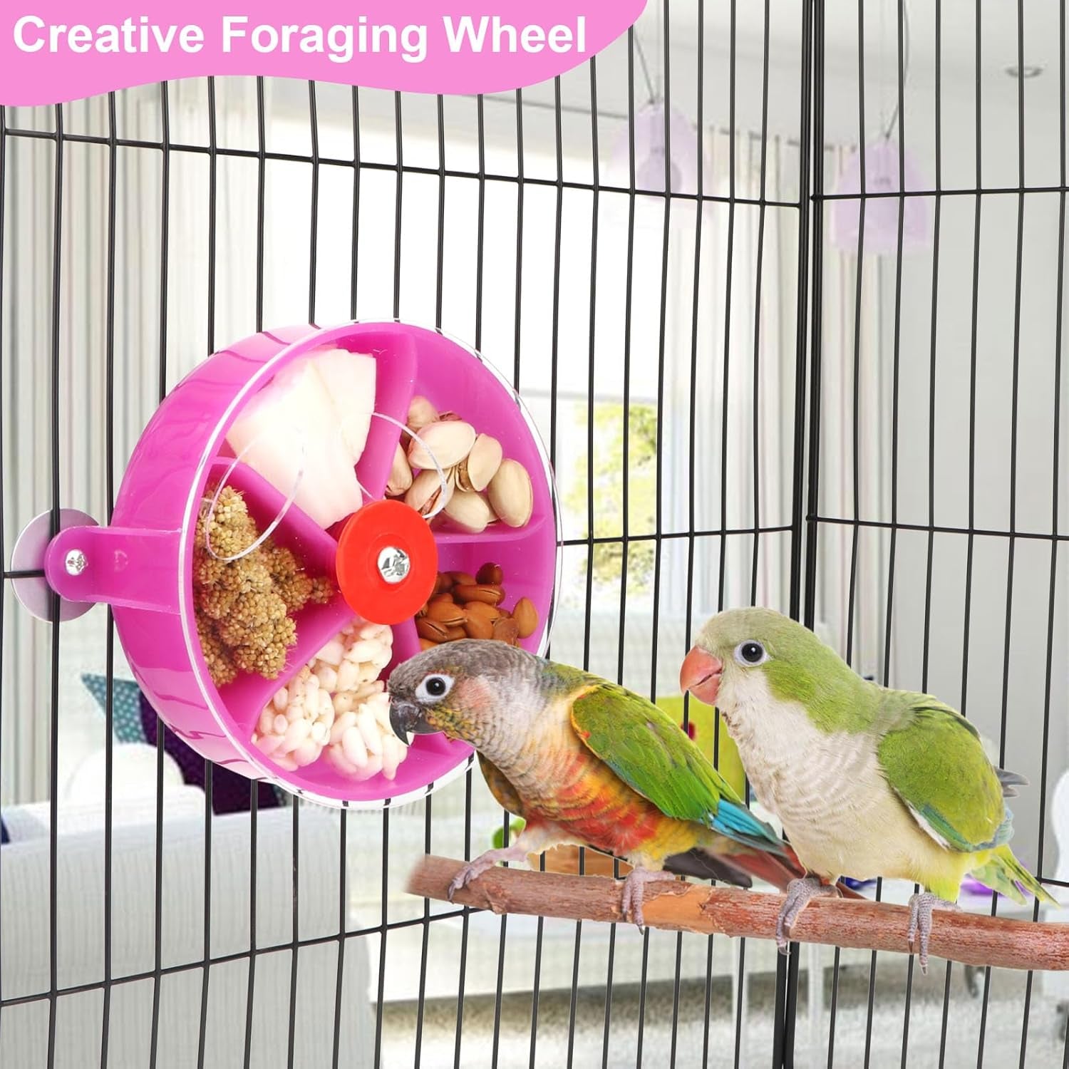 Elevate Playtime with the Purple Bird Foraging Wheel Toy for Happy Parrots and Parakeets! 🐦💜
