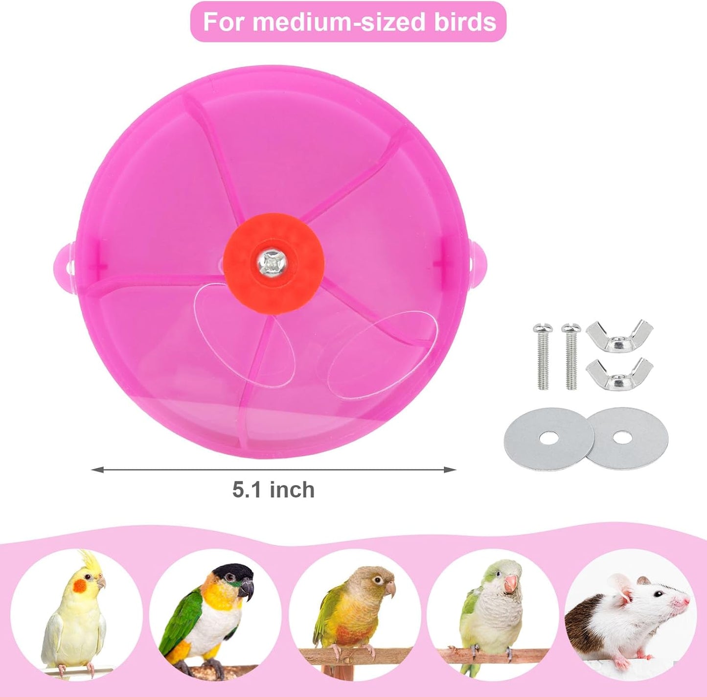 Elevate Playtime with the Purple Bird Foraging Wheel Toy for Happy Parrots and Parakeets! 🐦💜