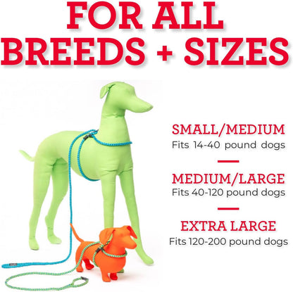 Say Goodbye to Tug-of-War!🐾✨ Discover the Ultimate No Pull Dog Harness & Leash Set for Happy Walks - Comfy, Secure, and Reflective Red for Small/Medium Pups!